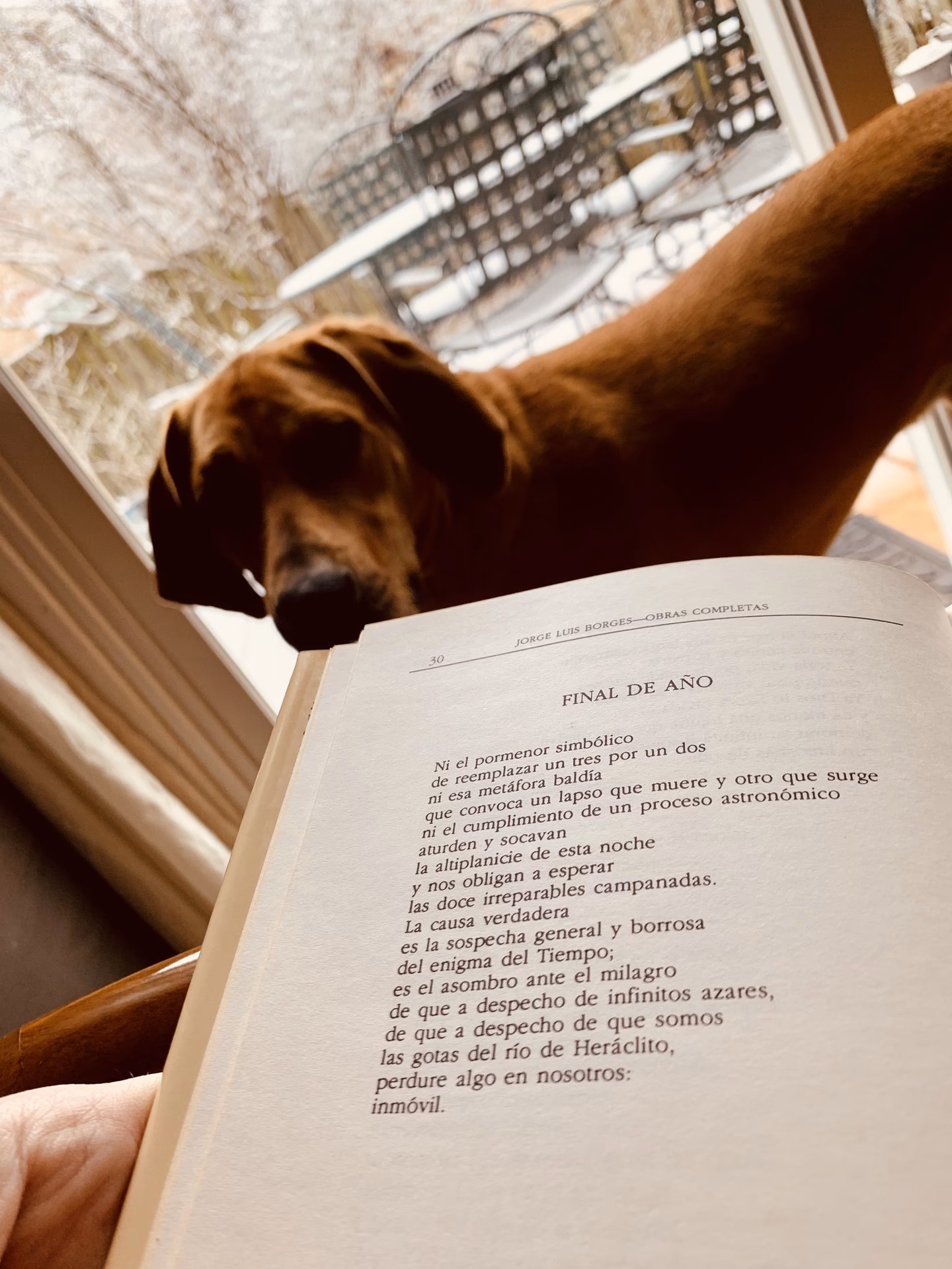 ¿A qué se refiere el poeta cuando habla de una metáfora de la tierra baldía?