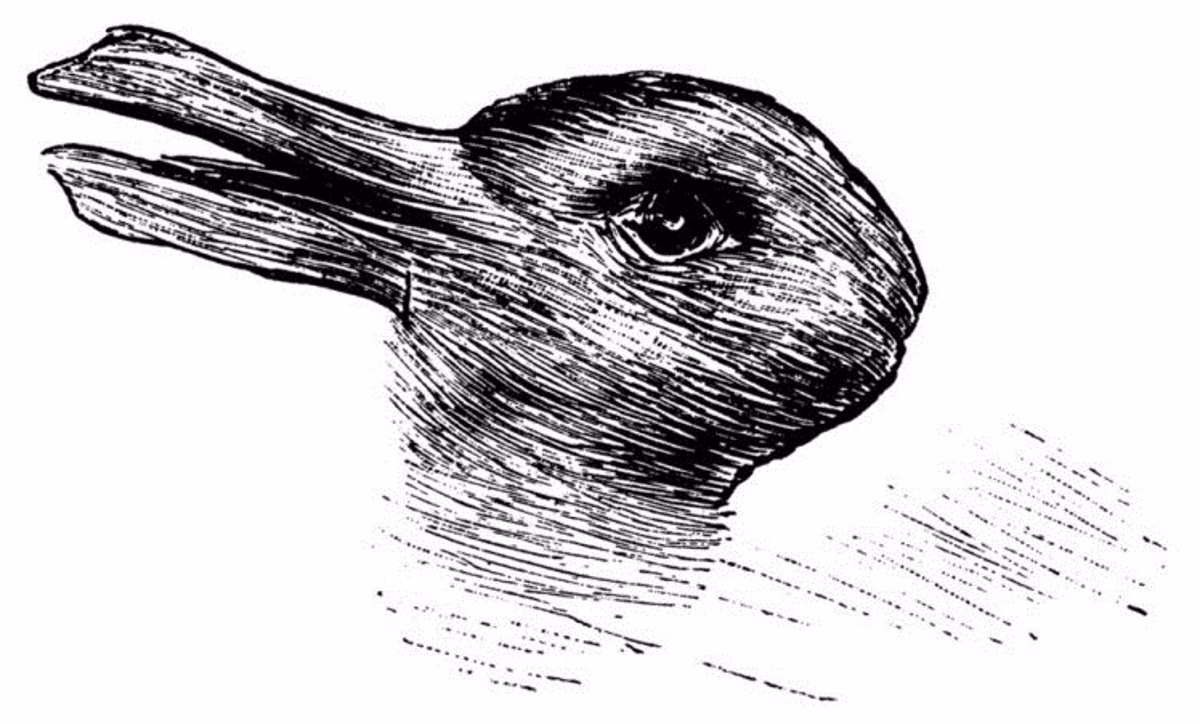 ¿Qué es la teoría de la ilusión del pato y el conejo?