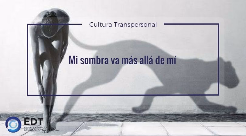 ¿Cuál es el significado metafórico de la sombra?