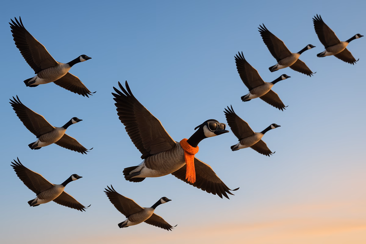 ¿Qué significa ser un ganso?