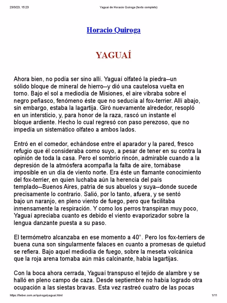 ¿Qué significa la yaguai?